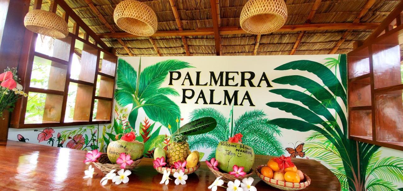 Palmera Palma Top Floor Moalboal Exteriör bild
